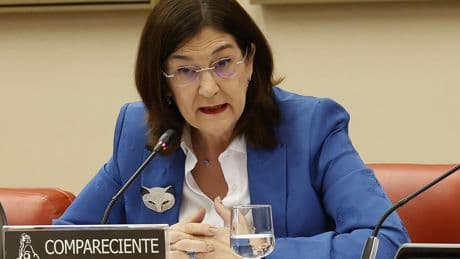 La presidenta de la CNMC descarta que el mix energético sea la causa del apagón y afirma que con una mayor interconexión con Francia "otro gallo nos habría cantado"