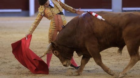Javier Zulueta, ante su nuevo compromiso en las nocturnas de Las Ventas: "Quiero que vean el torero que quiero llegar a ser"