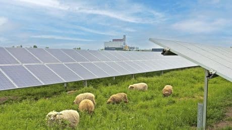 Energiewende: Während EnBW Fakten schafft, bummelt der Bund
