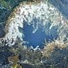 Warning as underwater volcano off US West Coast is rocked by 300 earthquakes: 'It could erupt any day'