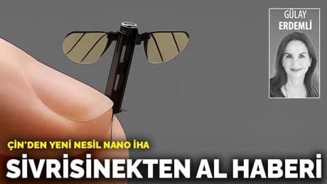 Sivrisinekten al haberi