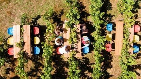 Le vin, dernier bastion de l'esprit français ?