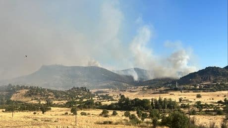 Diyarbakır'ın iki ilçesi arasındaki ormanlık alanda yangın: Olası tahliye için bölgeye ekipler gönderildi