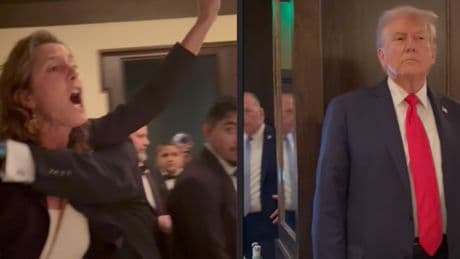 Protesters who confronted Trump reveal how they got inside DC restaurant as MAGA-world blasts Secret Service for lapse