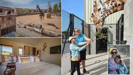 I stayed in a safari lodge surrounded by giraffes - and didn't have to leave the UK