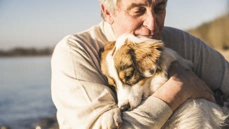 Haustiere als Schutz für das Gehirn: Neue Studie zeigt positive Effekte von Hund und Katze