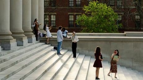 Donald Trump vs. Havard: Vier deutsche Studierende der Eliteuni berichten