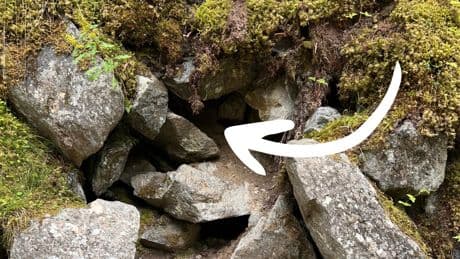 Kalte Löcher im Wald: Warum hier immer Kühlschranktemperaturen herrschen