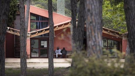 Encuesta: ¿Es necesaria una reforma a fondo de la DGAIA?