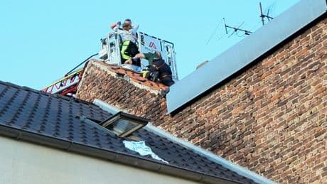 Ungewöhnlicher Einsatz in Brandenburg - Feuerwehrmann rettet Sonnenanbeterin vom Dach