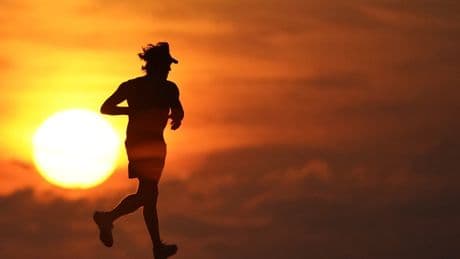 Wie fake darf es sein? Maultiere auf dem Strava-Pfad