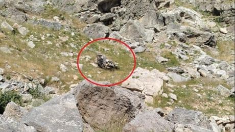 Batman'da bilirkişi ekibinin otomobili, şarampole yuvarlandı: 5 kişi hayatını kaybetti