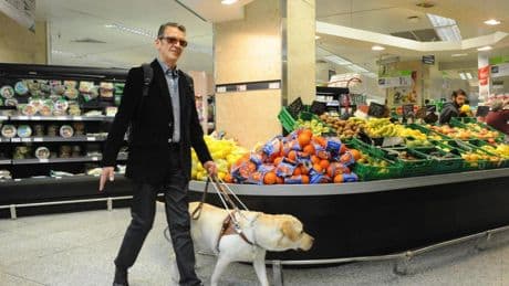 Las personas con perros de asistencia podrán acceder a espacios públicos con él
