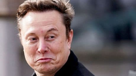 From perfume to Marvel superheroes: Seven things you might not have known about Musk