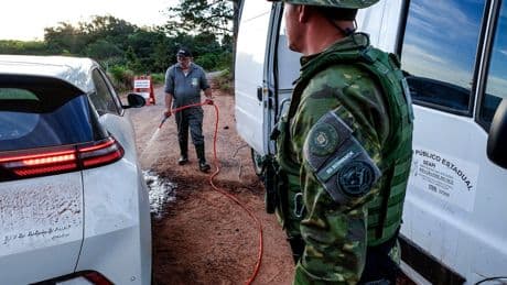 Mexico, Chile and Uruguay halt poultry imports from Brazil after bird flu outbreak