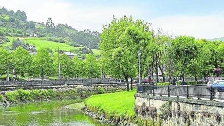 Un brote de botulismo mata a centenares de patos en la ría de Gernika