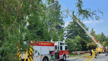 Wildfire in White Rock results in shelter-in-place order