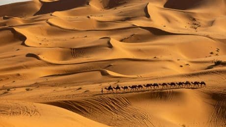 En la región más vulnerable al cambio climático y la desertificación