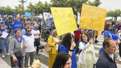 Veterinarios piden «un acceso rápido a los tratamientos»