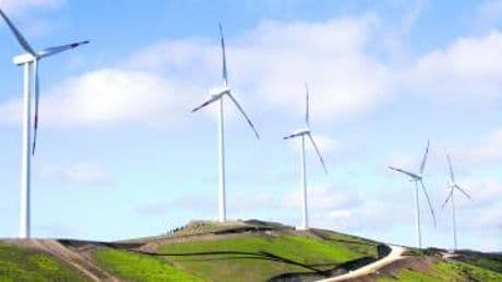 Enel disegna l'eolico del futuro il vento sarà ancora più bello