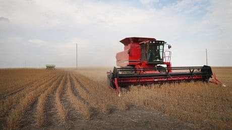 American Farmers Brace for Trade War Pain