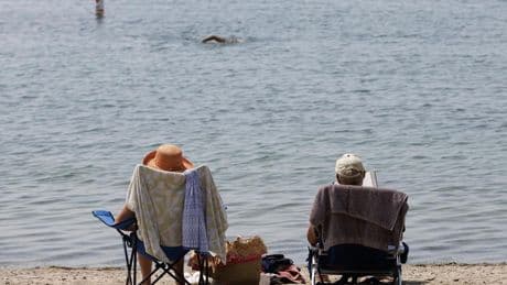 Southwestern Ontario blasted by summer heat waves