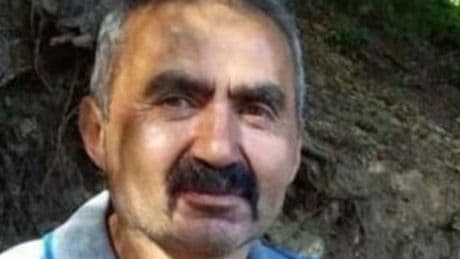 Ormanda üzerine ağaç devrilen işçi öldü