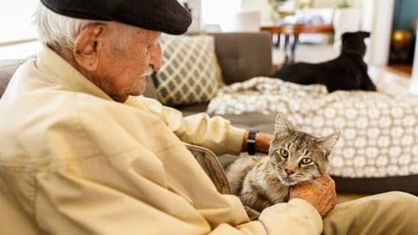 Elderly man's decade long 'loyalty' routine with cat leaves people in 'tears'