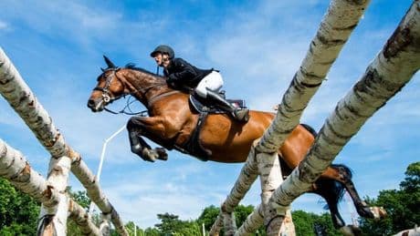 Pfingstreitturnier: Italiener gewinnt überraschend Großen Preis in Wiesbaden