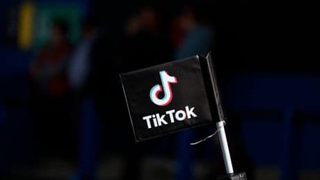 TikTok face aux députés : des « ratés » de modération et beaucoup de flou