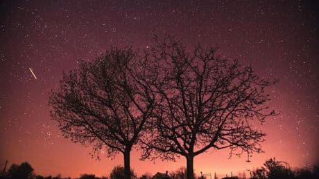How to see meteor shower that only happens once a year in Scotland this May
