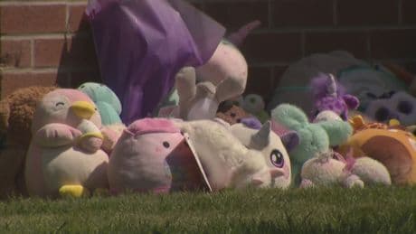 Family of 3 Ontario siblings killed in suspected impaired driving crash speaks out