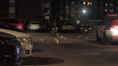 Youth involved in ‘mass shooting’ outside Toronto school enters guilty plea