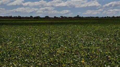 The New World Food Prize Laureate Uses Microorganisms To Save Soils