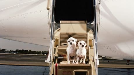 Billionaires say a private jet is one of life's greatest luxuries. Here's how much it costs.
