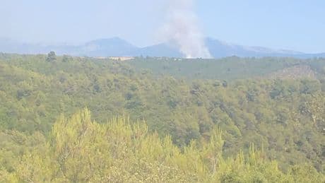 Un feu "d'ampleur et difficilement accessible" en cours dans un massif forestier à Esparron-de-Verdon