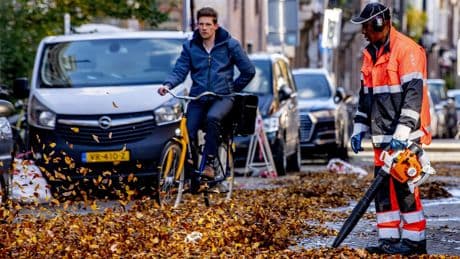 Amsterdammer woest over ’extreme geluidsoverlast’ in lente en zomer, maar:  ’Bladblazers helaas ieder seizoen noodzakelijk’