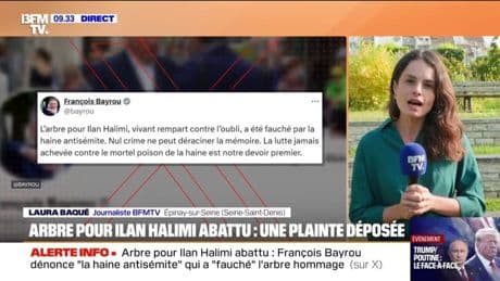 Arbre pour Ilan Halimi abattu: François Bayrou dénonce "la haine antisémite"
