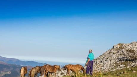 En el corazón verde de Bizkaia: donde el viaje se transforma en legado