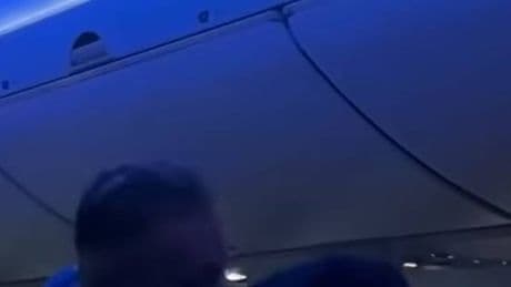Kaum zu fangen: Zwei Tauben lösen bei Delta-Flug Chaos in Kabine aus