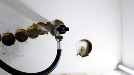 Mogelijk gaskraan open in woning Horst, veiligheidszone ingesteld