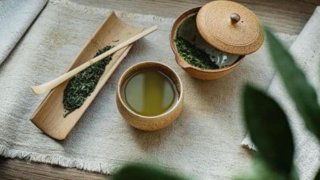 Este es el ingrediente del té verde que retrasa el envejecimiento del cerebro según los médicos españoles