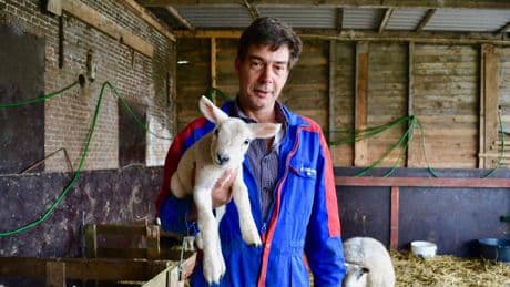 Marcel (56) is laatste boer van Den Haag, maar vreest te moeten verdwijnen: ’Gemeente zet mij mes op de keel’