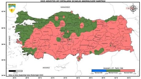 Meteoroloji'den ağustos ayı sıcaklık analizi: "Son 55 yılın en sıcak 4'üncü ağustos ayı"