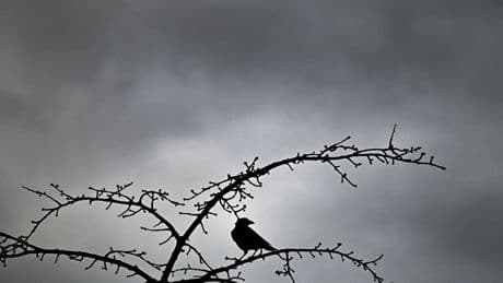 Wetter in NRW: Gewitter und Starkregen ab dem Nachmittag