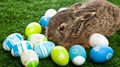 Tote Traditionen: Vier absurde Osterbräuche, die es heute nicht mehr gibt