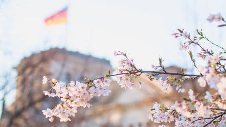 FOCUS-Briefing von Thomas Tuma: Sieben Tipps zu Ostern für mehr Glück und weniger Politstress