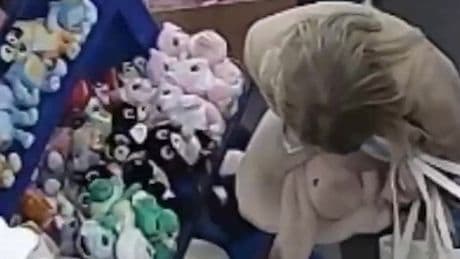Garden centre locks up Jellycats after woman caught stuffing toys down trousers