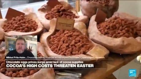 High cost of cheap chocolate: Amid cocoa crisis, prices surge in mass-produced low-quality chocolate