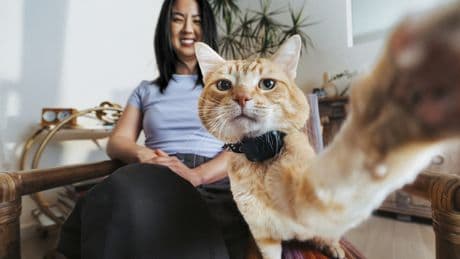The new Fi Mini pet tracker has GPS, and it&#8217;s barely bigger than an AirTag
